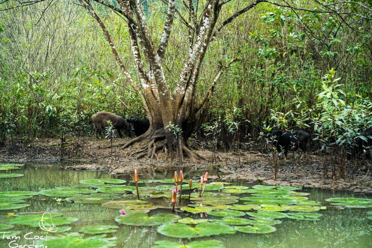 Tam Coc Garden Resort Ninh Binh Luaran gambar