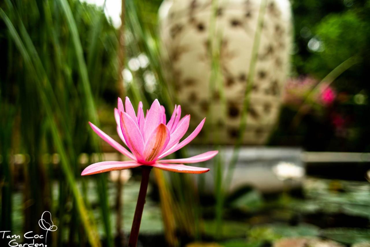 Tam Coc Garden Resort Ninh Binh Luaran gambar
