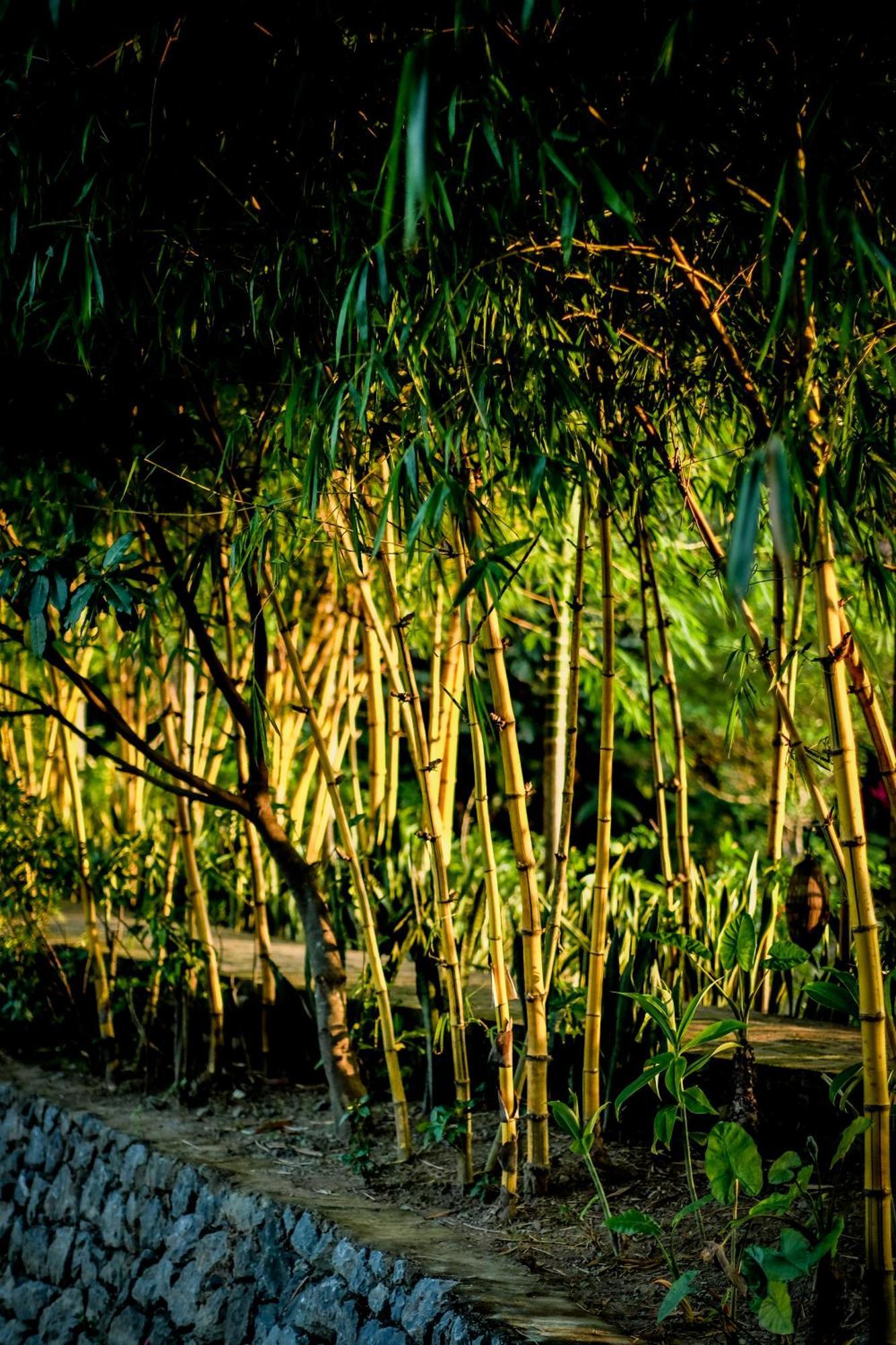 Tam Coc Garden Resort Ninh Binh Luaran gambar